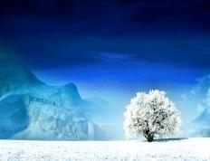 开云体育下载-篮球与足球的冷门之夜，活塞逆袭76人，福克斯主宰德甲争冠战