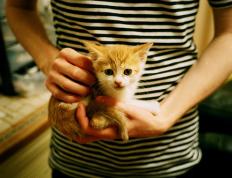 开云体育在线-东方长城战西方利刃，塔图姆如何在跨洋对决中诠释现代篮球的持续杀伤