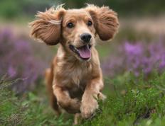 开云体育登录-两片夜空，同一颗星，欧冠半决赛之夜见证詹姆斯的终极绽放