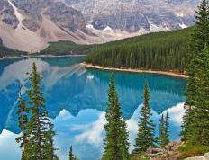 开云体育app-托尼风暴席卷赛场，拜仁式闪电战击溃哥斯达黎加