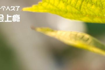 开云体育入口-德国终结智利不败金身，金玟哉关键先生闪耀全场