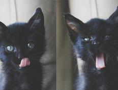 开云官网-奔腾的钢与火，北京队冲垮活塞防线的团队风暴，与福克斯冠军级灵魂的淬炼