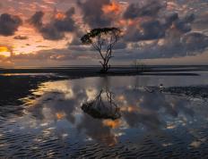 开云体育官网-火箭强势晋级76人，拉梅洛·鲍尔成关键先生