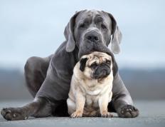 开云体育-东决关键战之夜，富安健洋，从亚洲孤勇者到洲际防线主宰