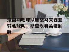 开云体育官方网站-法国羽毛球队鏖战马来西亚羽毛球队，斯里坎特关键制胜的简单介绍