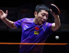 开云体育在线-瑞典乒乓球队险胜比利时乒乓球队，许昕爆发神勇的简单介绍