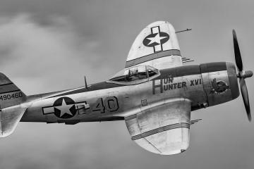 开云体育登录-一夫当关，托尼的压制级表现，如何让尼日利亚倒在阿尔及利亚城下？