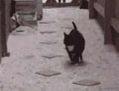 开云体育下载-绿茵与硬木的交响，西甲国家德比焦点战与骑士加时取胜爵士的激情碰撞