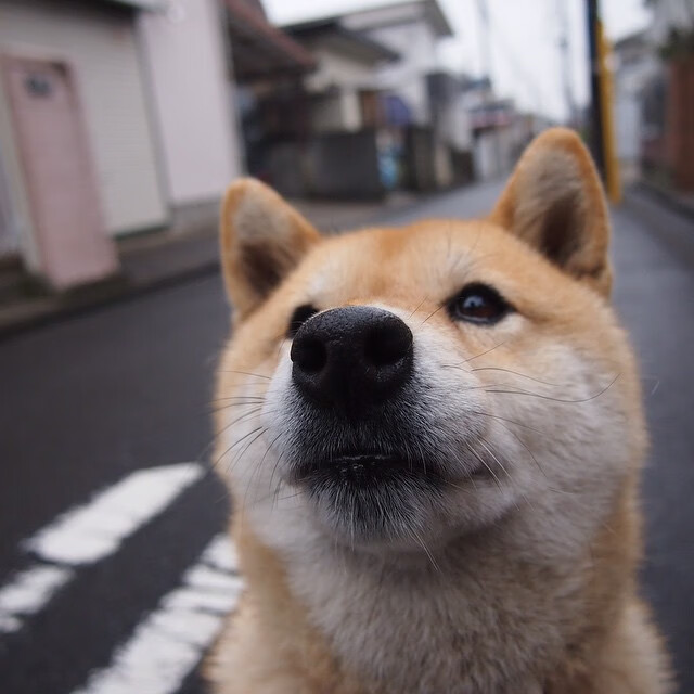 开云体育登录-范戴克一击定乾坤，巴黎提前宣判乌克兰悬念终结