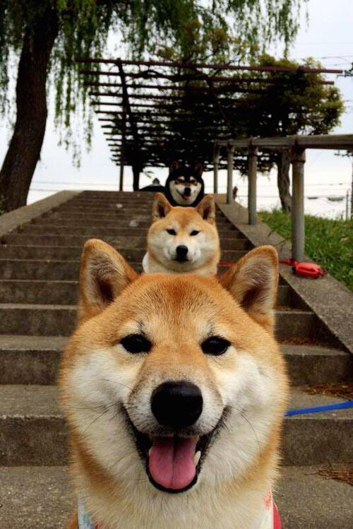 开云平台-吉林队强压步行者，哈利伯顿关键先生定乾坤