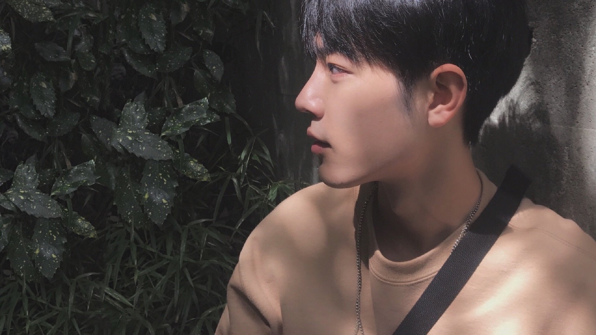 开云体育在线-阿拉巴火山爆发!突尼斯以沙漠风暴之势强势碾碎威尔士红龙