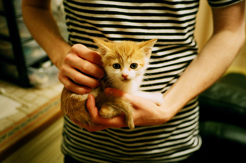 开云体育在线-东方长城战西方利刃,塔图姆如何在跨洋对决中诠释现代篮球的持续杀伤