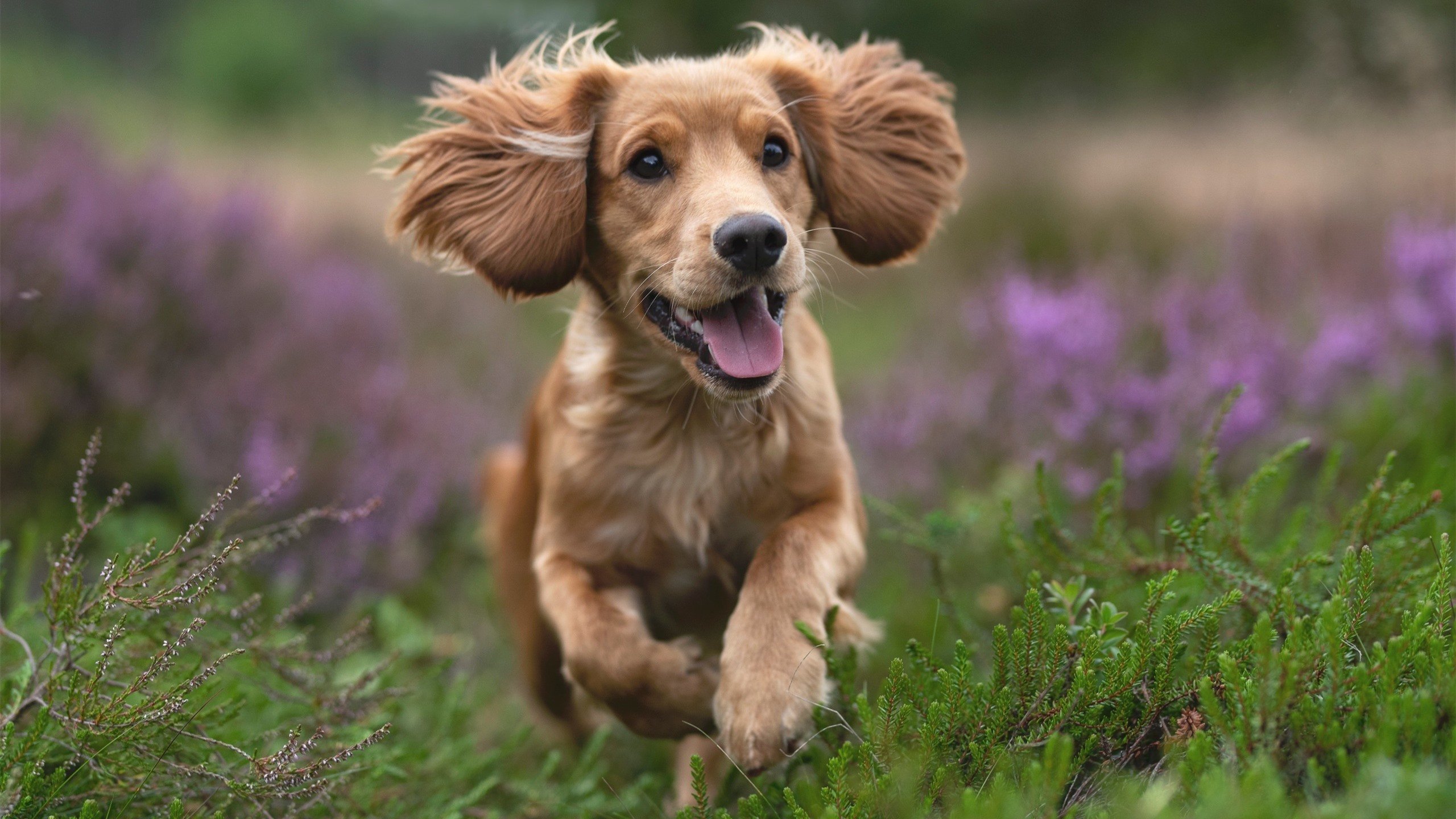 开云体育登录-两片夜空，同一颗星，欧冠半决赛之夜见证詹姆斯的终极绽放