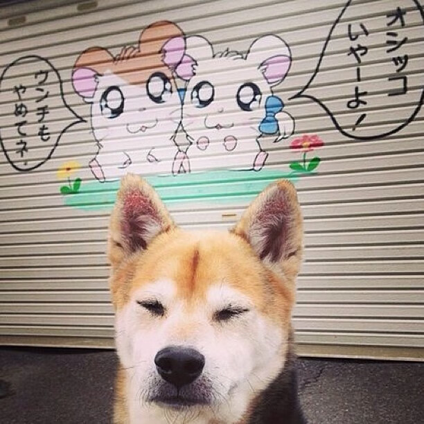 开云平台-新西兰惊天逆转洪都拉斯，布雷默一锤定音成关键先生