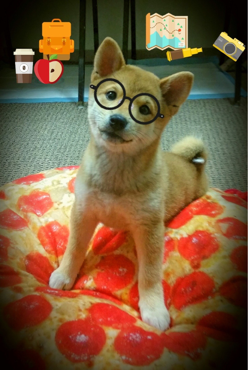 开云APP-武切维奇一剑封喉!步行者血拼黄蜂,关键先生导演逆转绝杀