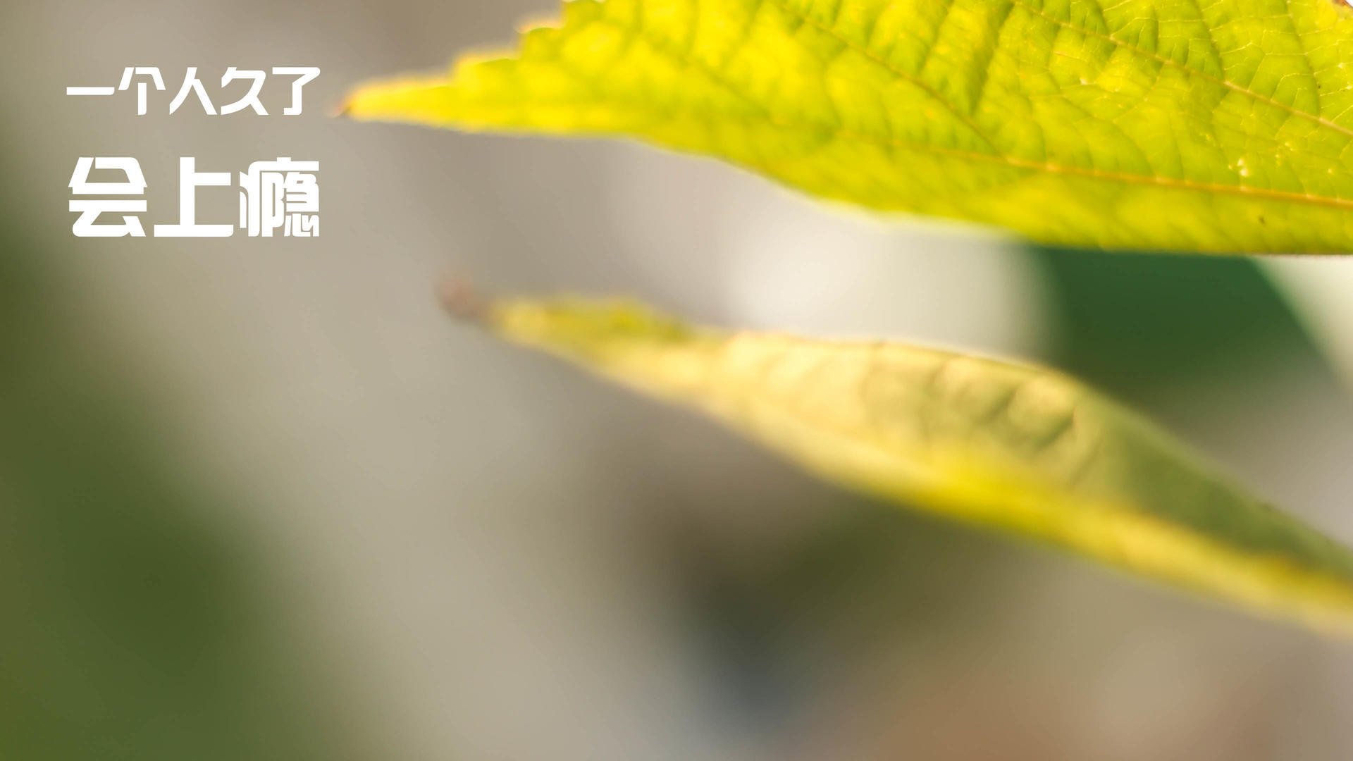 开云体育入口-德国终结智利不败金身，金玟哉关键先生闪耀全场