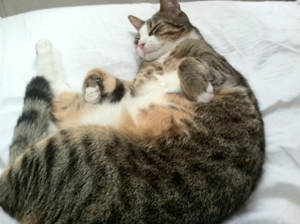 开云体育官网-破城锤与交响乐,当开拓者的钢铁洪流撞上哈登的独舞之夜