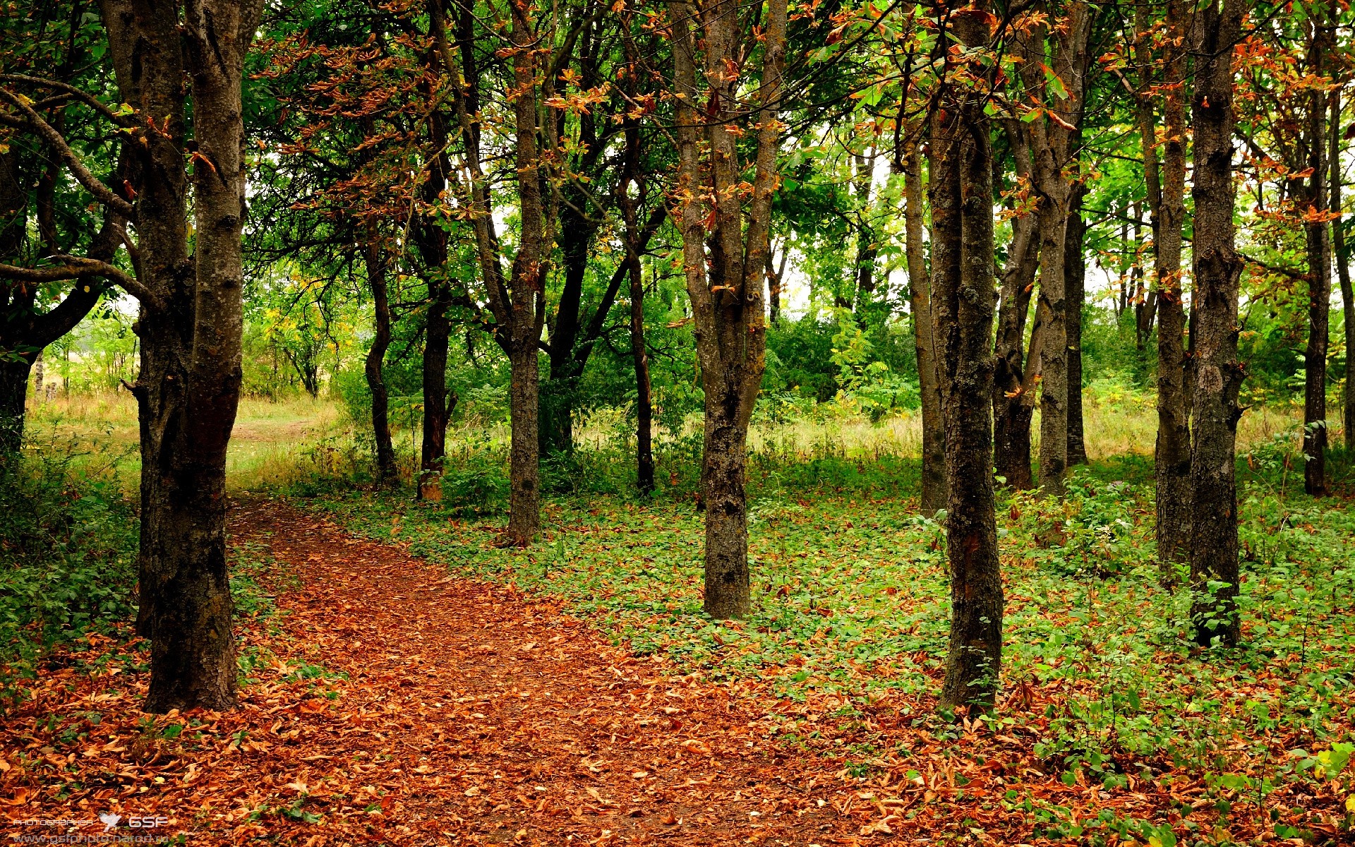 开云体育-英超争冠烽火连天,葡萄牙欧战踏平莱比锡红牛彰显足球狂潮