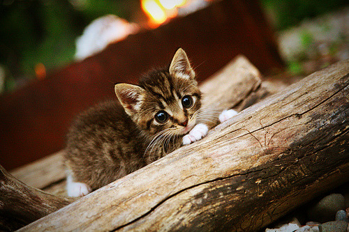 开云体育中国-贝林厄姆一锤定音!挪威力克墨西哥强势晋级,皇马巨星化身关键先生