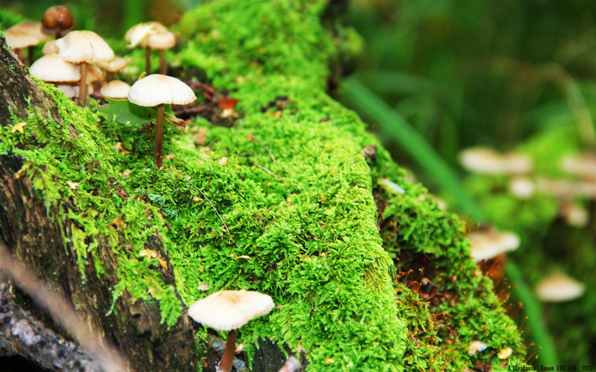 开云体育-战术齿轮的完美咬合,巴尔韦德关键先生本质解析