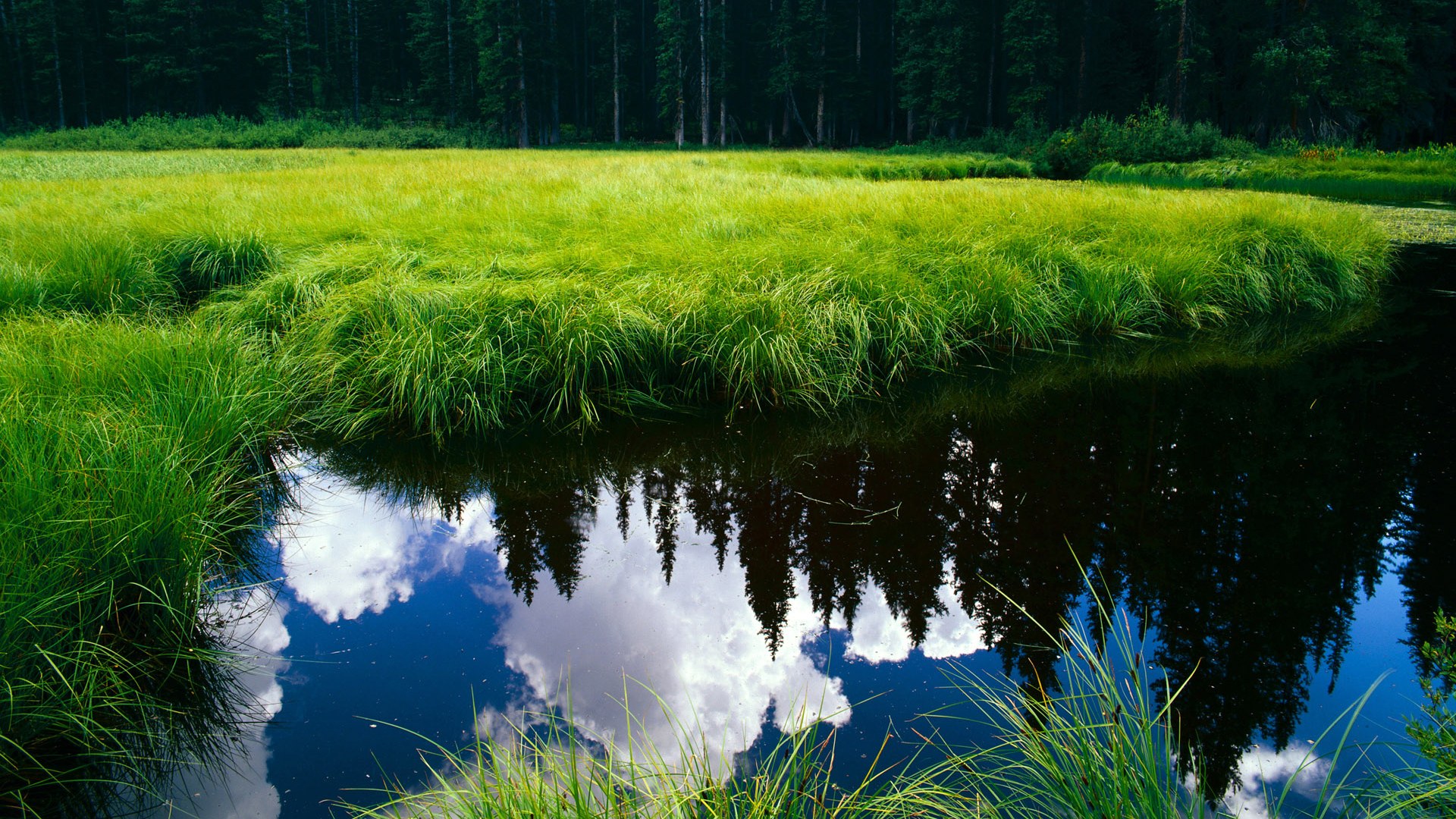 开云体育-那不勒斯横扫巴西,苏亚雷斯如何以非欧陆智慧成为关键先生