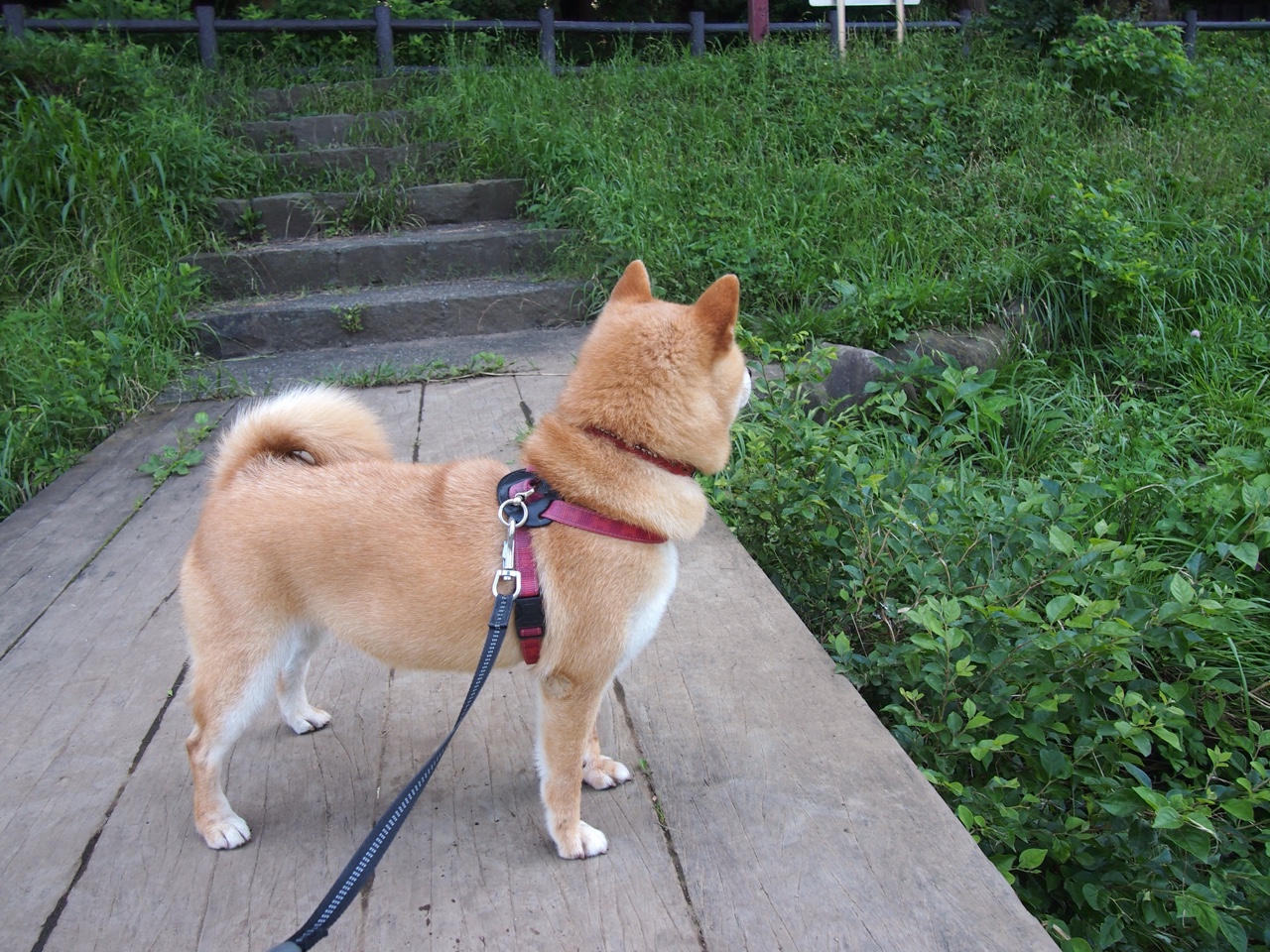 开云体育入口-跨洋对决，公牛鏖战北京队，詹姆斯加时赛化身关键先生