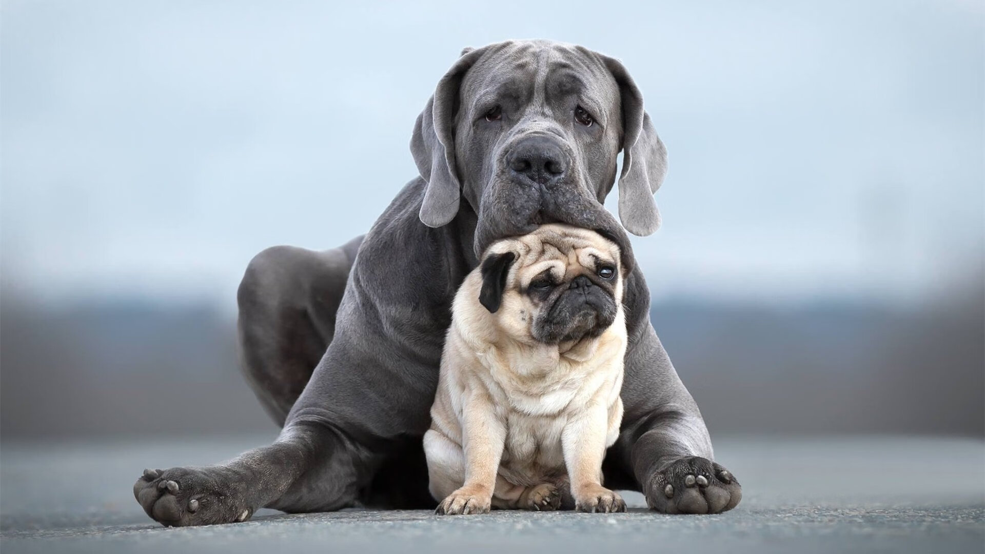 开云体育-东决关键战之夜，富安健洋，从亚洲孤勇者到洲际防线主宰