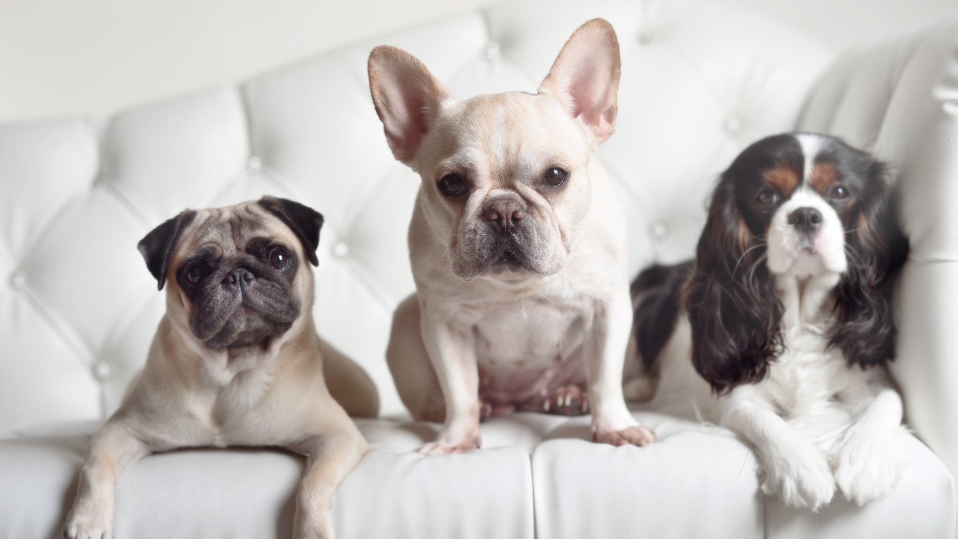 开云体育官网-意甲焦点战启示录,从雷恩火力压制巴黎,看绿茵场上的以下克上哲学