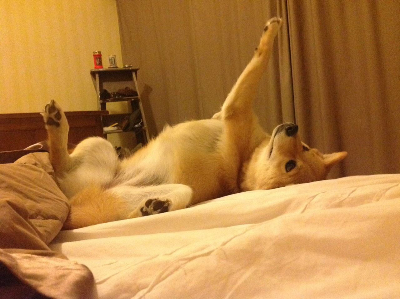 开云体育在线-奥运资格关键战爆冷！阿尔及利亚3-0横扫澳大利亚，搅动巴黎门票争夺战